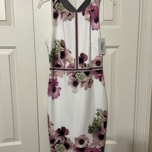Ted Baker Brand New Dress with Ticket